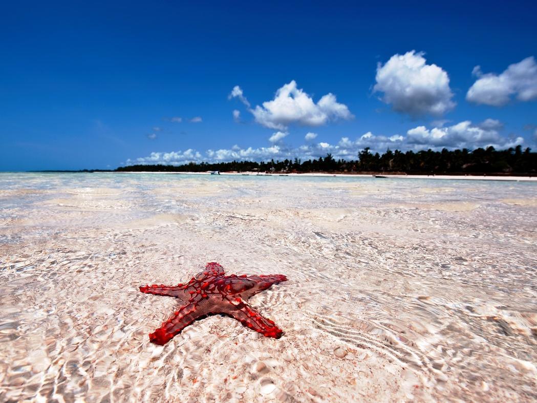 Neptune Paradise Beach Resort & Spa Galu Esterno foto
