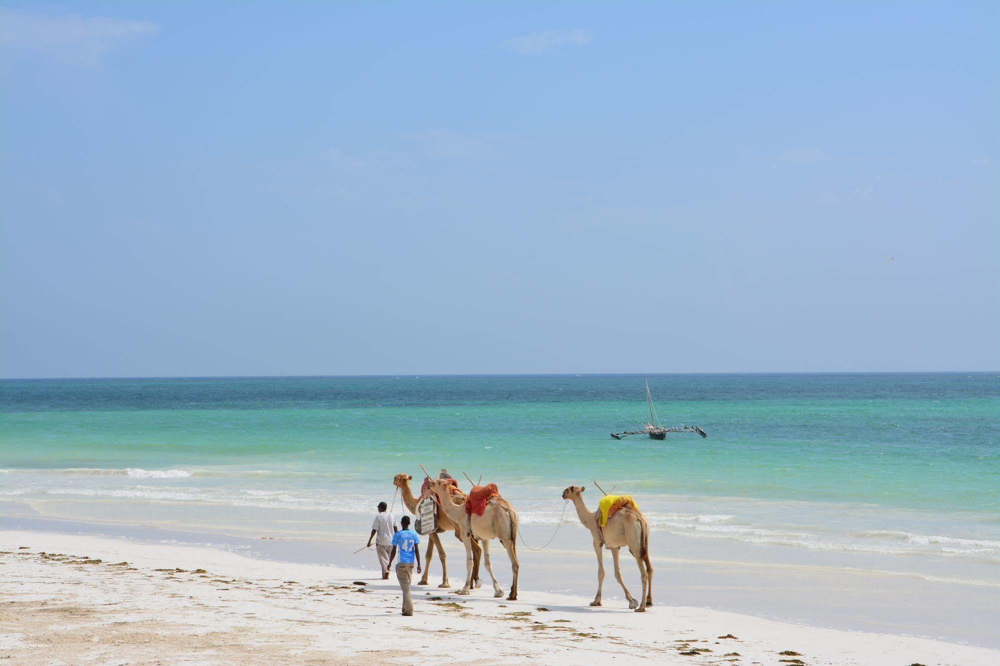Neptune Paradise Beach Resort & Spa Galu Esterno foto